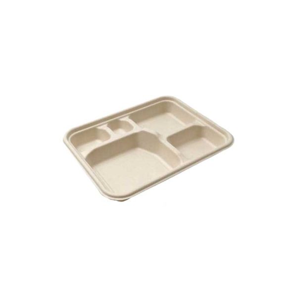 Compostable Rectangular Bento Box base