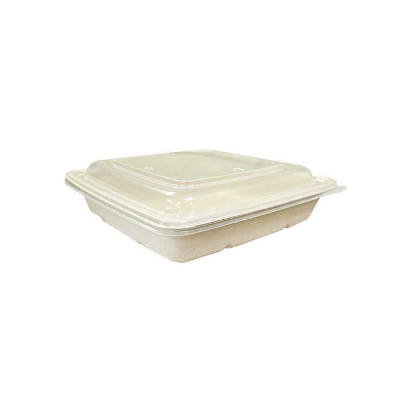 Natural pulp square container 9 inch
