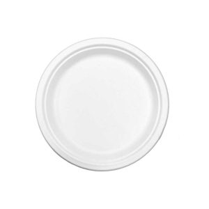 Bagasse Round plate 9 inch