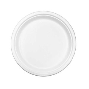 Bagasse Round plate 10 inch